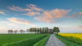 Landelijk Pekela, rust ruimte en natuur. Makelaar regio Pekela, verkoop woning Noord Oost Groningen.
